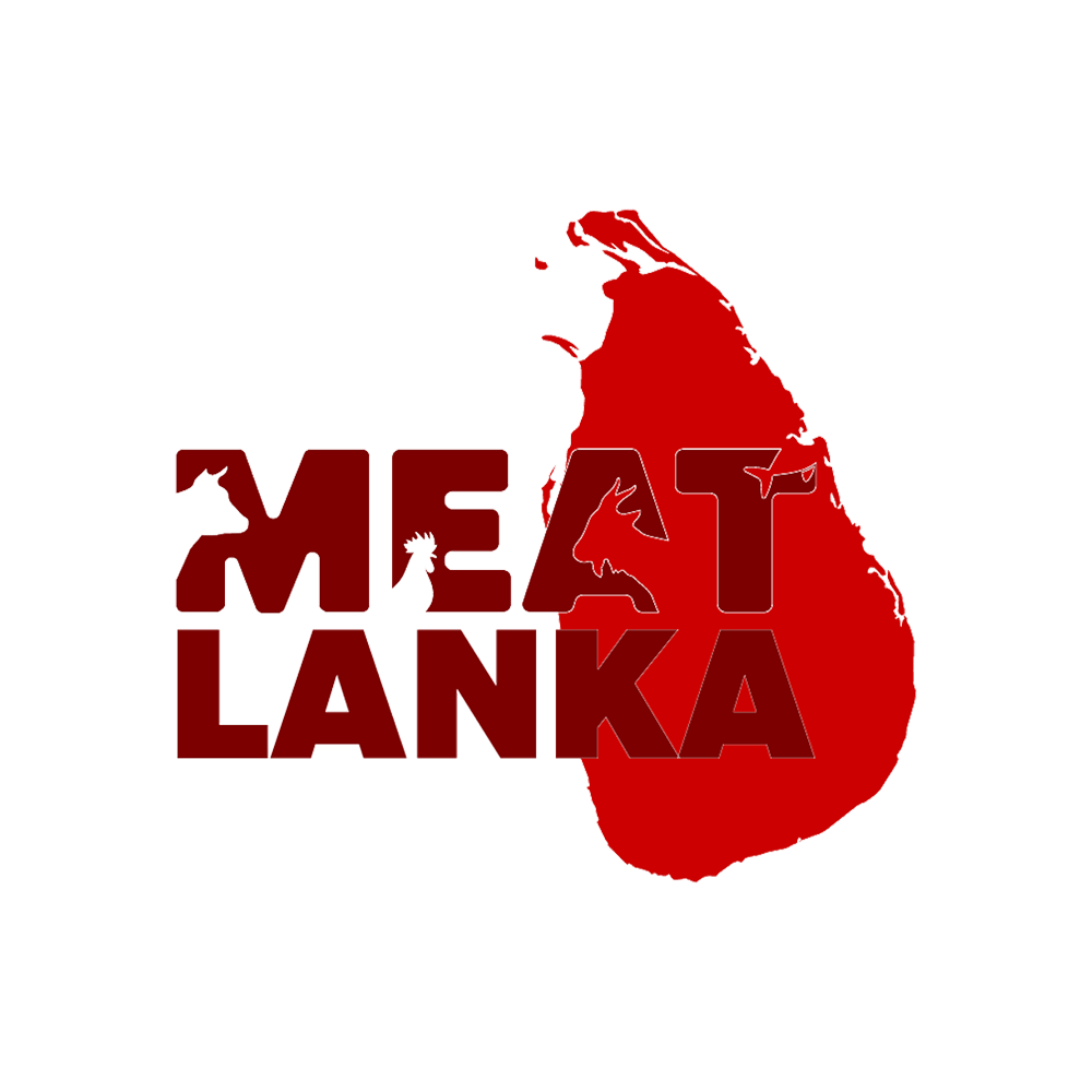 Haction - Client Logo Image